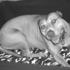 Avatar de canelle4242