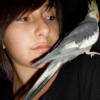 Avatar de elisouille14