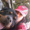 Photo alyson