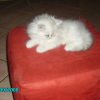 Avatar de laetitia2705