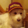 Avatar de roland