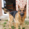Avatar de aurelie666
