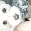Avatar de daisy5