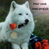 Avatar de tiocose02120