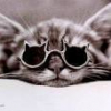 Avatar de socquette62