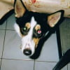 Photo Steffy57175