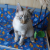 Photo mamymail