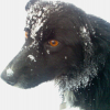 Avatar de DanRocket