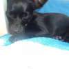 Photo Nina37270