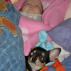 Photo mayllys