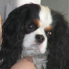 Avatar de sev51200