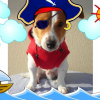 Avatar de salvada