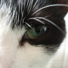 Avatar de carbouille