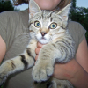 Photo cuicui64