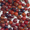 Avatar xylenia