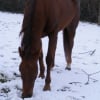 Photo flaviiex3