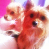 Photo Kouki59