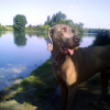 Photo fabi37270