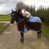 Photo cookie12