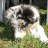 Photo Ganja97411