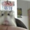 Avatar de Kooltie