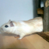 Avatar de Romane P