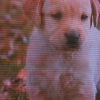 Avatar de Caramel28