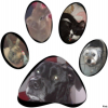 Avatar de sherpabandit59