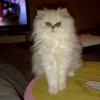 Avatar de laura-nicole7