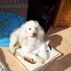 Photo Nancy2