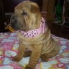 Avatar de bella16