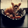 Avatar de Lola1997
