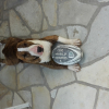 Avatar de Lilia