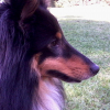 Avatar de Hugo GOETZ