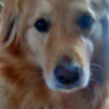 Avatar de Loulou