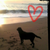 Avatar Lolobab Legendre Bidot
