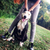 Avatar de Laure Wolfstien 