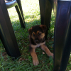 Avatar de Chicas Salsar