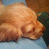 Avatar de Annie Le Bohec