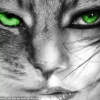 Avatar de Claudie Guillerme