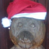 Avatar de GoldBearBE