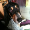 Avatar de virginia chantrelli