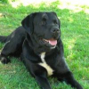 Avatar de hector labrador