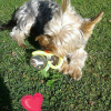 Photo gervaiseht@aol.com