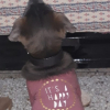 Avatar de Marita
