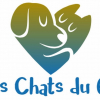 Photo Les Chats du 65