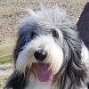 Avatar de TIMBA