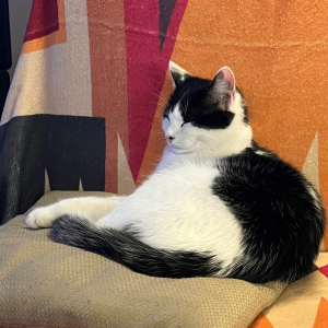 Photo de profil de Celine  Peltier 