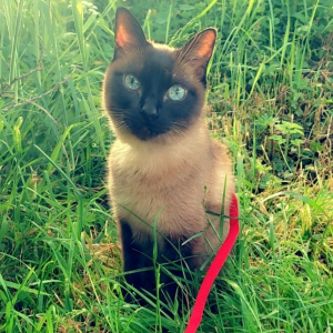 Photo de profil de Véro6645