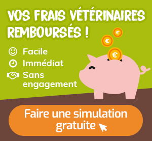 Vos frais vétérinaires remboursés !